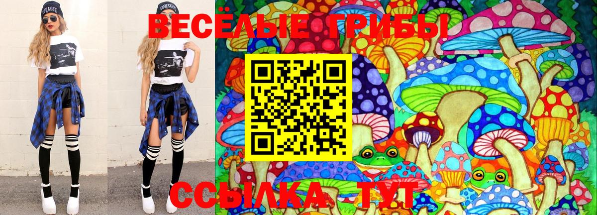 Галлюциногенные грибы Psilocybe Кунгур